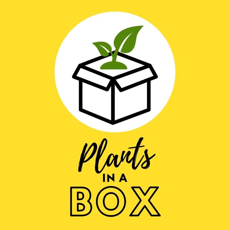 Plants in a Box